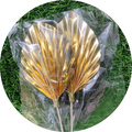 Paper Palm Leaf