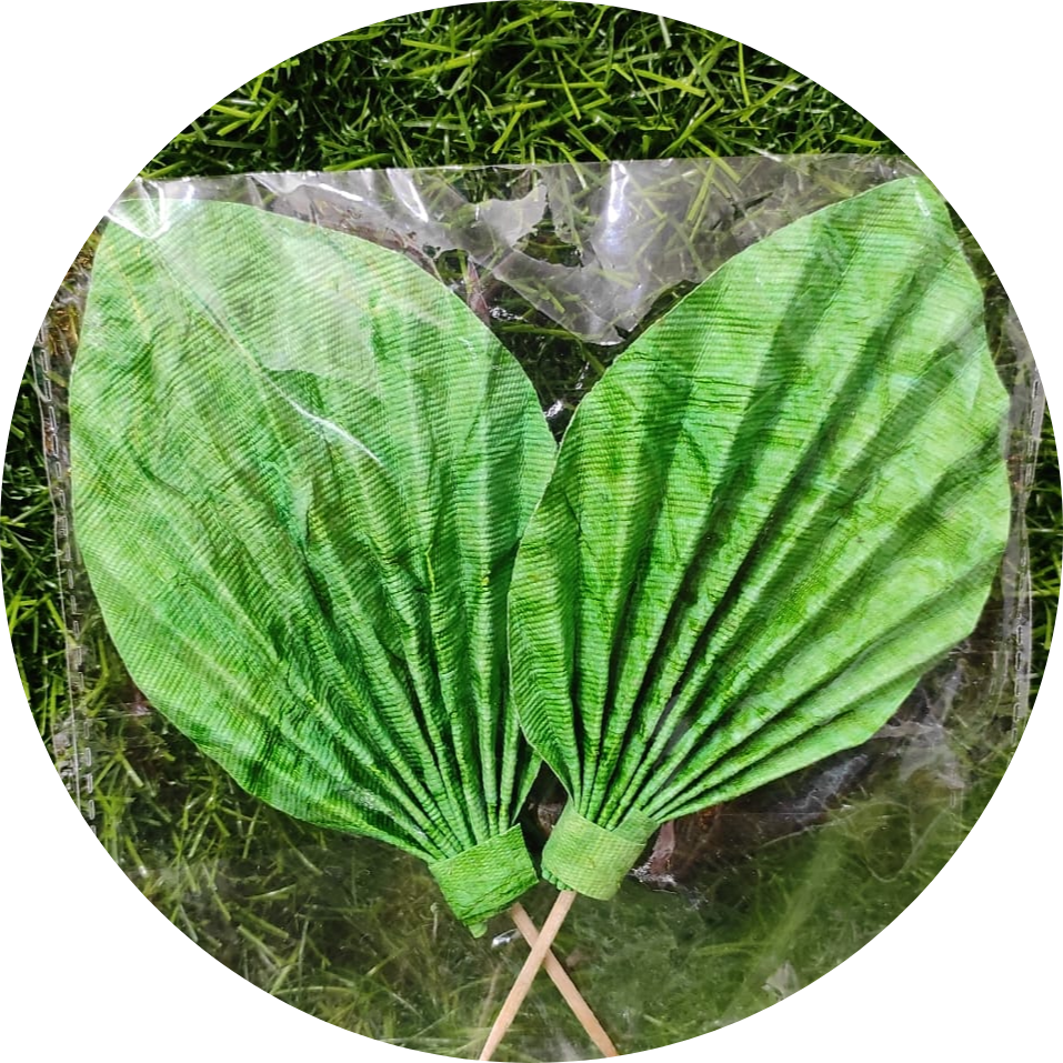 Paper Palm Leaf