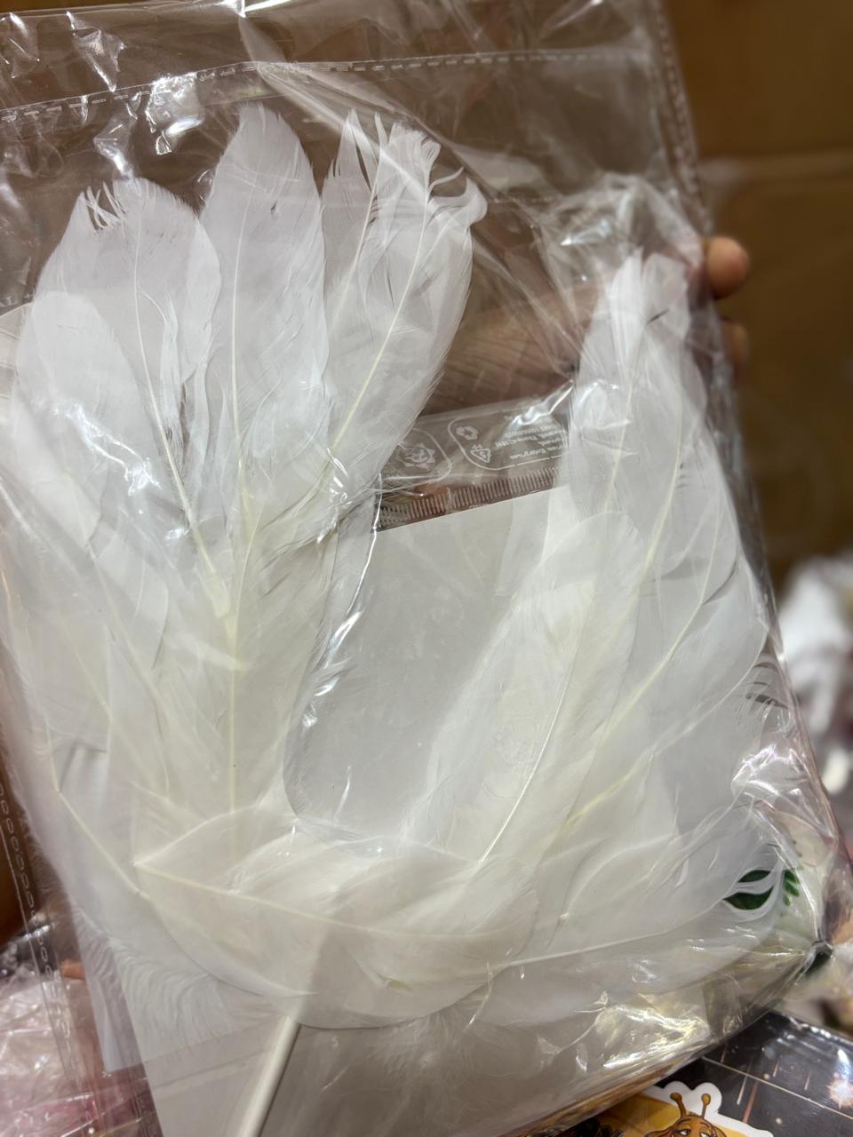 White Princess Theme Decoration Combo