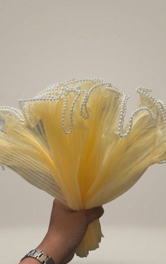 Noor Net (Mesh Net) with Pearl Border