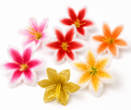 🌸 Lily Flowers for Cake Decoration 🌸