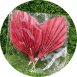 Paper Palm Leaf - Image 7