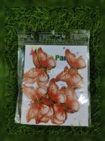 Glitter Butterfly - Image 6