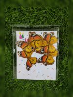 Glitter Butterfly - Image 22