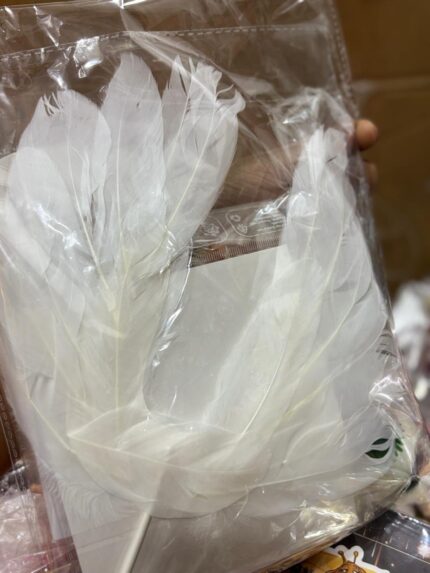 White Princess Theme Combo