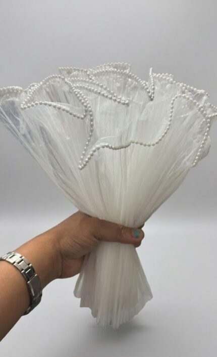 Noor Net (Mesh Net) with Pearl Border